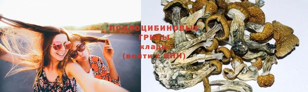 МДПВ Пестово