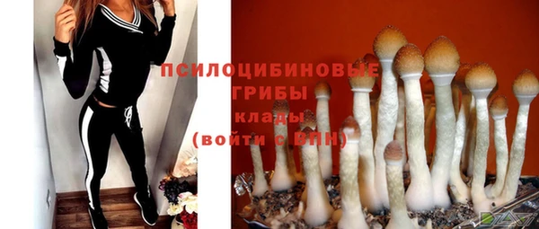 крисы Переславль-Залесский