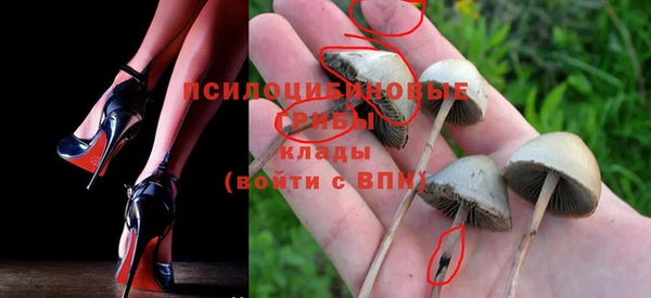 дживик Покров
