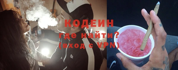 гашик Пересвет