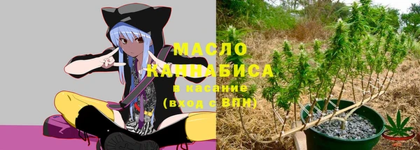 МДПВ Пестово
