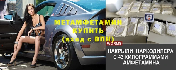 гашик Пересвет