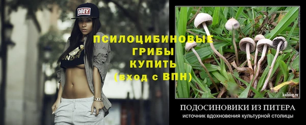 гашик Пересвет