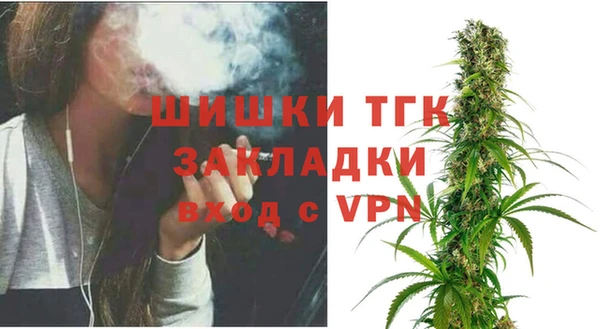 гашик Пересвет