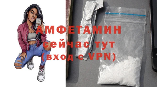 гашик Пересвет