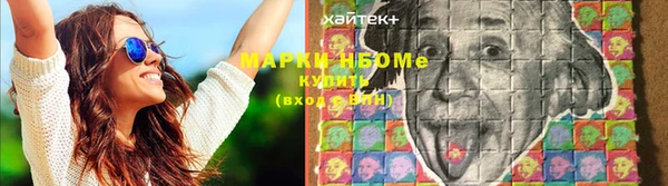 гашик Пересвет